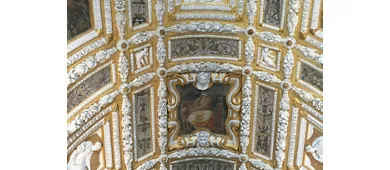 Doge's Palace & Chorus Churches: Museum + Transport Pass