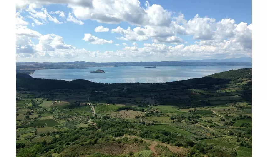 Montefiascone: Rocca dei Papi Salta la fila Biglietti