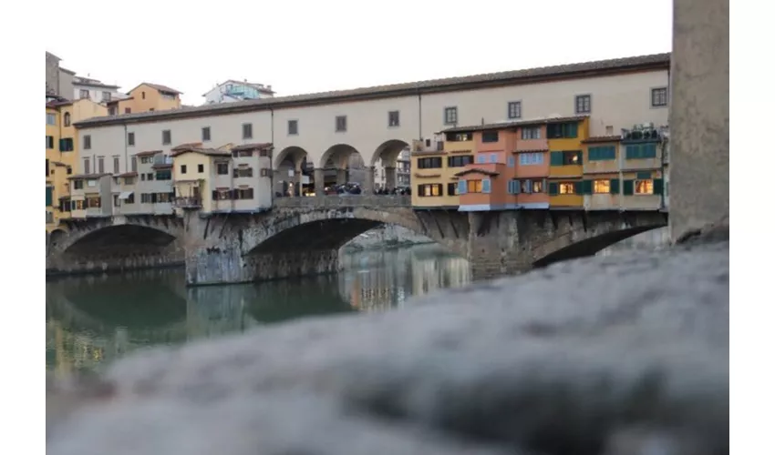 Galleria dell'Accademia e degli Uffizi: Tour guidato + viaggio di andata e ritorno da Roma