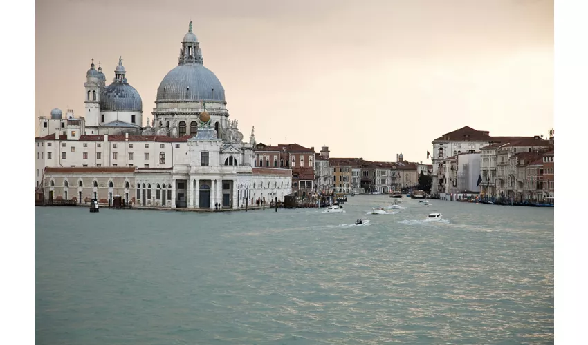 Palazzo Grassi & Punta Della Dogana