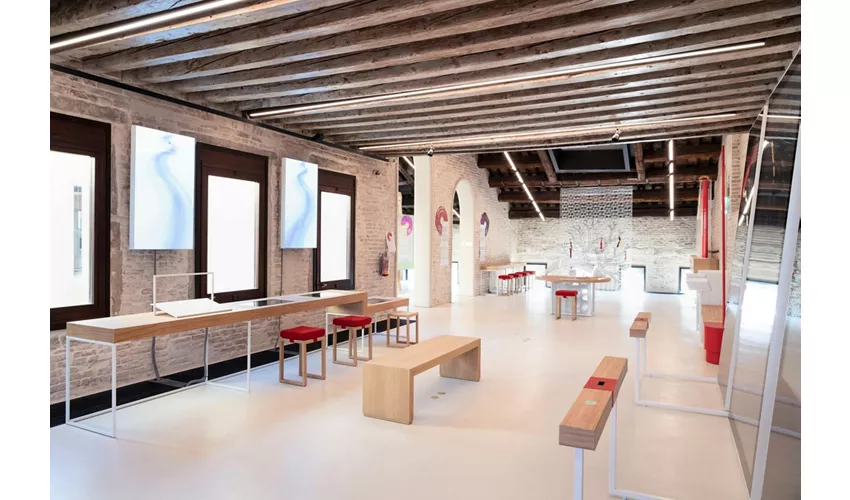 "A World of Potential" at the Human Safety Net House: Entry Ticket