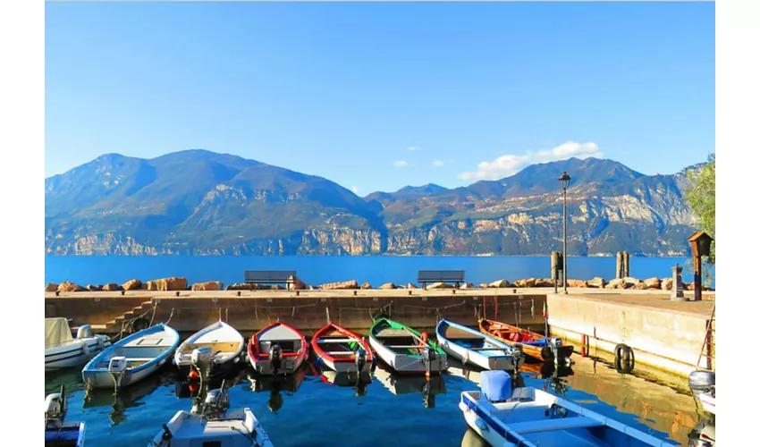 Torri Del Benaco: Garda Link Bus + Train from Venice