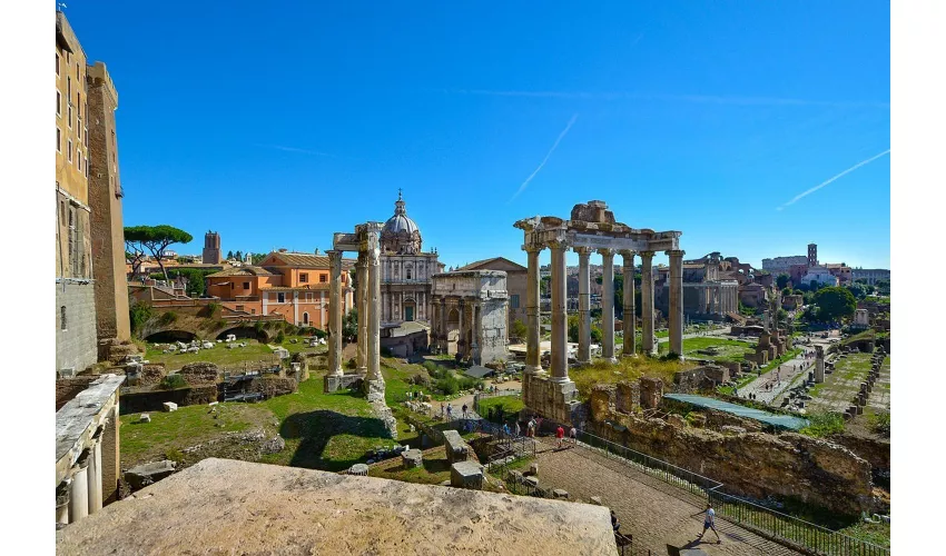 Colosseum, Roman Forum & Palatine Hill + Guided Tour