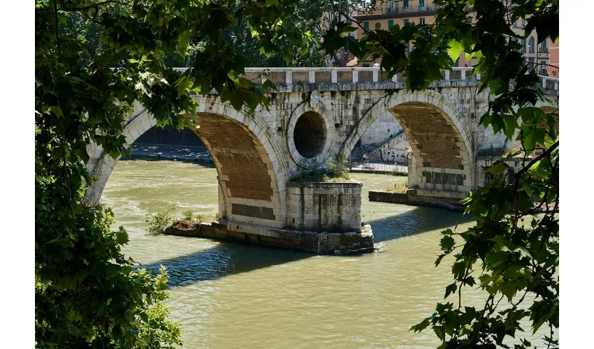 Trastevere Rome: Guided Walking Tour + Basilica of Santa Maria Entry