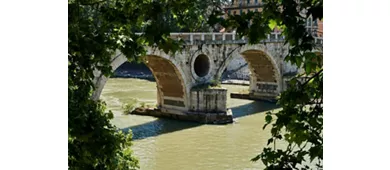 Trastevere Roma: Tour guidato a piedi + ingresso alla Basilica di Santa Maria