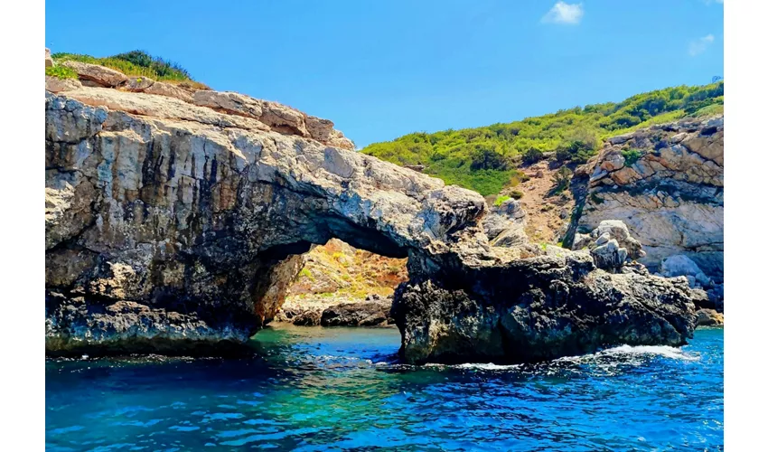 Islas Tremiti: Excursión guiada en barco desde Peschici