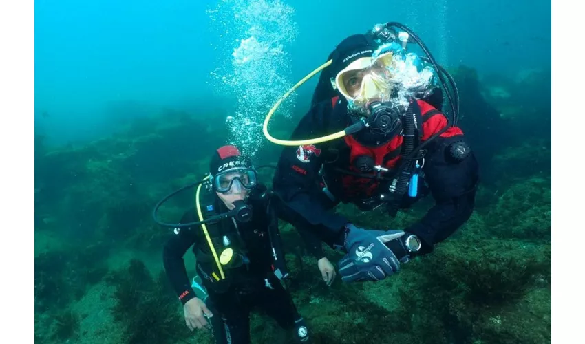 Islas Ciclópeas: Experiencia de submarinismo