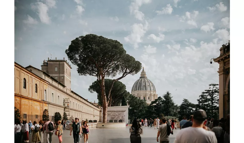 Museos Vaticanos y Capilla Sixtina: Visita guiada por la tarde