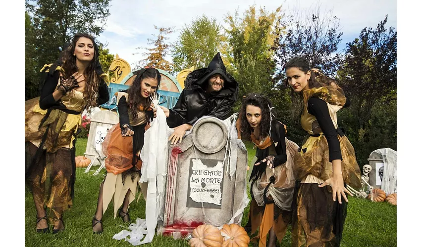 MagicLand: Open Date Ticket