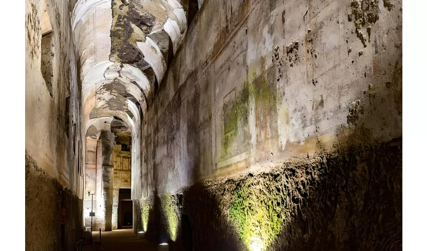 Domus Aurea: Entry Ticket + Guided Tour + VR Experience