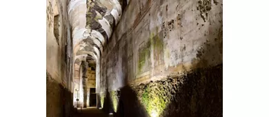 Domus Aurea: Entry Ticket + Guided Tour + VR Experience