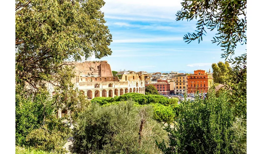 Vatican Museums & Colosseum: Guided Tour