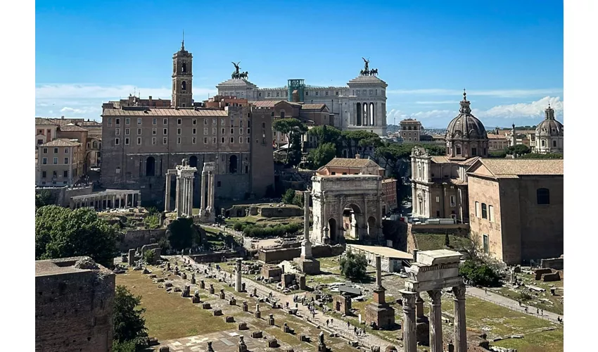 Colosseo, Arena, Foro Romano e Palatino + Tour guidato