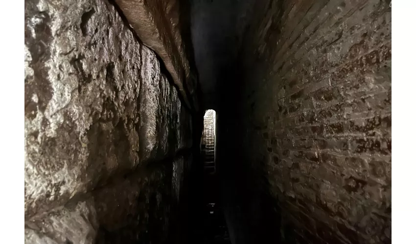 Basílica de San Clemente: Visita guiada subterránea