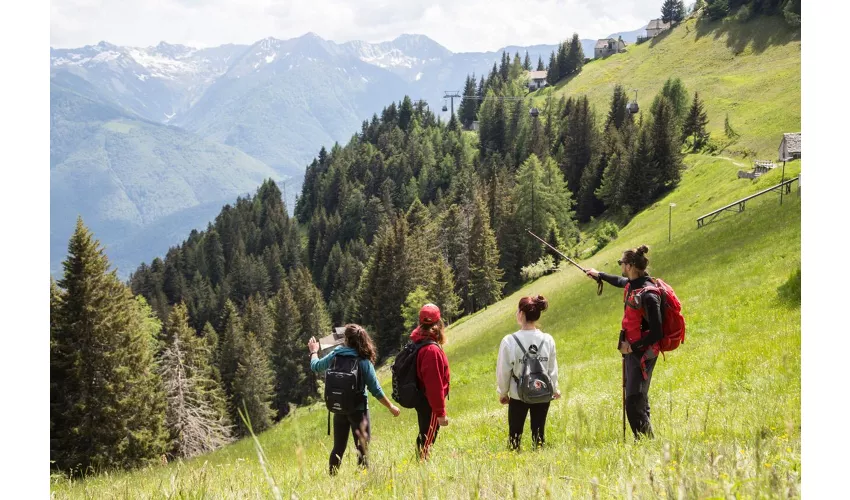 E-bike & Trekking Experience: vivi la montagna in modo autentico sulla Piana di Vigezzo
