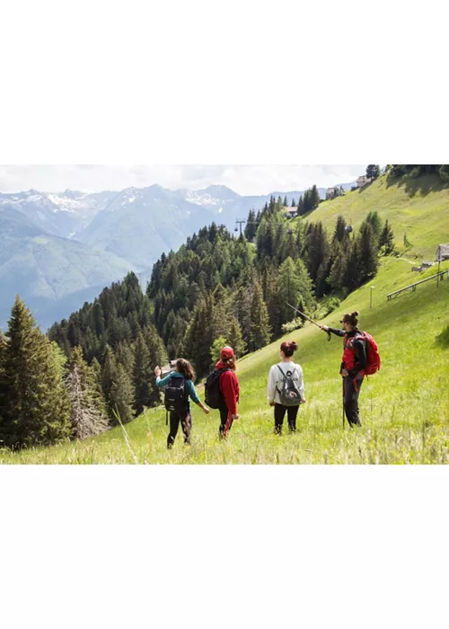 E-bike & Trekking Experience: vivi la montagna in modo autentico sulla Piana di Vigezzo