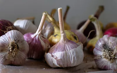 Red Garlic from Sulmona, Abruzzo: an indigenous variety that is popular abroad