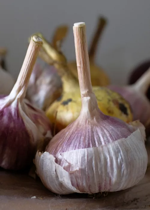 El ajo rojo de Sulmona, en Abruzos: una variedad autóctona muy solicitada en el extranjero
