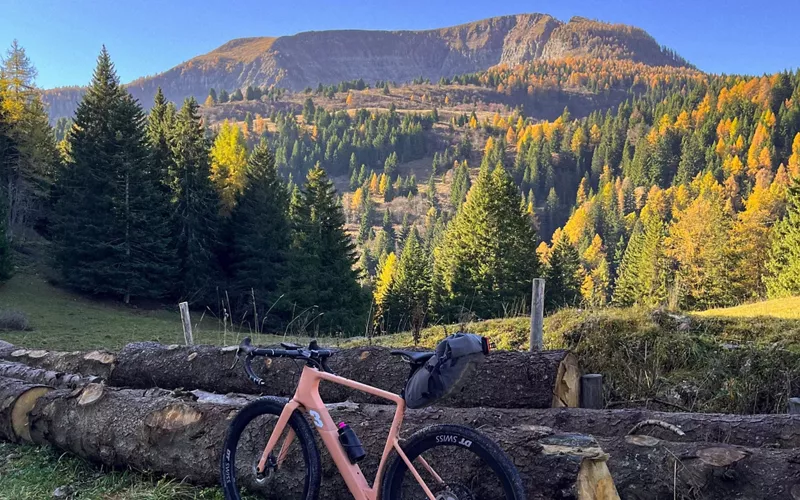 Descubra o parque Adamello Brenta com Cascalho Alpino no Monte Peller