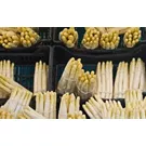 Der weiße Spargel von Cimadolmo IGP, der auch von den Ägyptern und Römern geliebt wurde