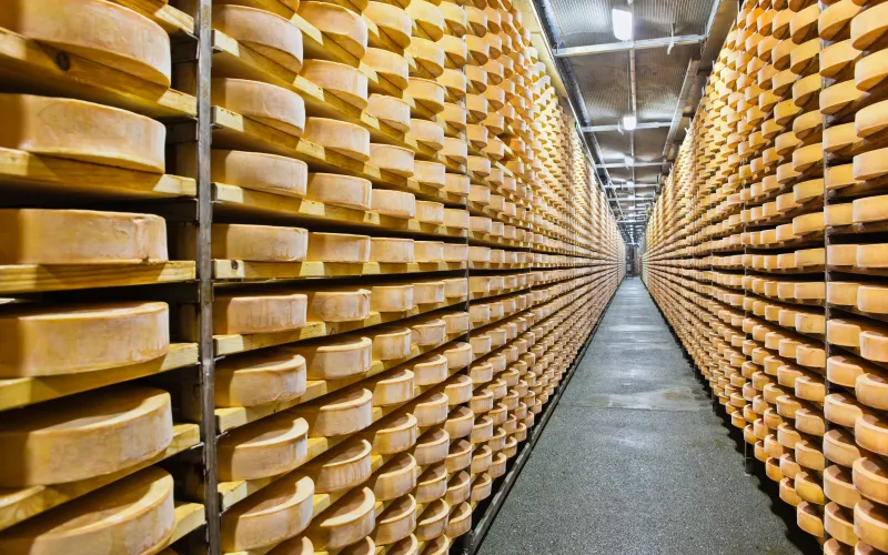 Las altas cumbres de los Alpes: de la leche al queso