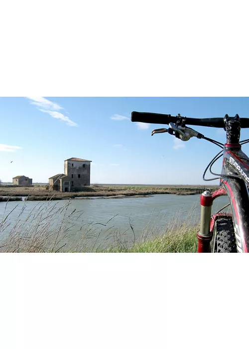 Goro - Comacchio, off-road cycling