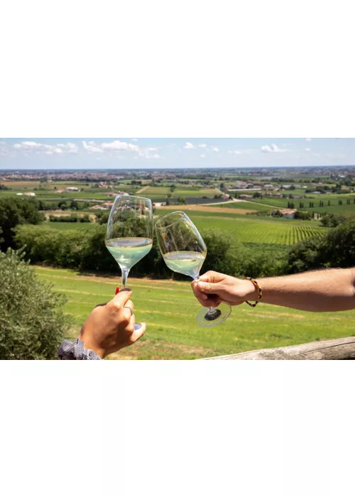 Os vinhos do Lago de Garda