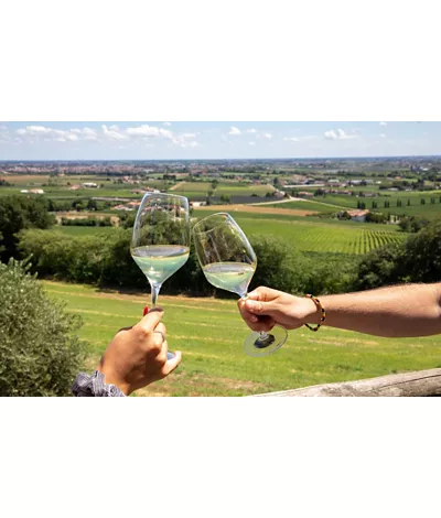 The wines of Lake Garda