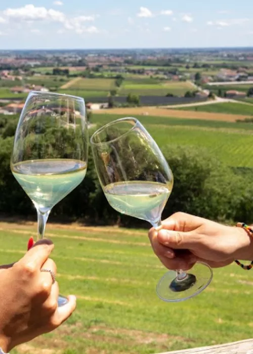 The wines of Lake Garda