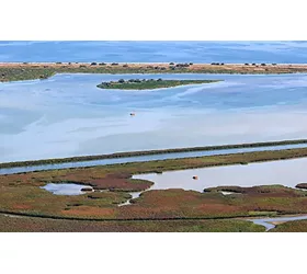 In bici lungo il Po di Pila, da Porto Viro al faro di Punta Maistra