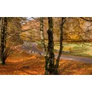 Entdecken Sie Latium mit dem Fahrrad, von Grisciano bis Filettino