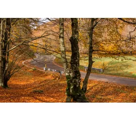 Entdecken Sie Latium mit dem Fahrrad, von Grisciano bis Filettino
