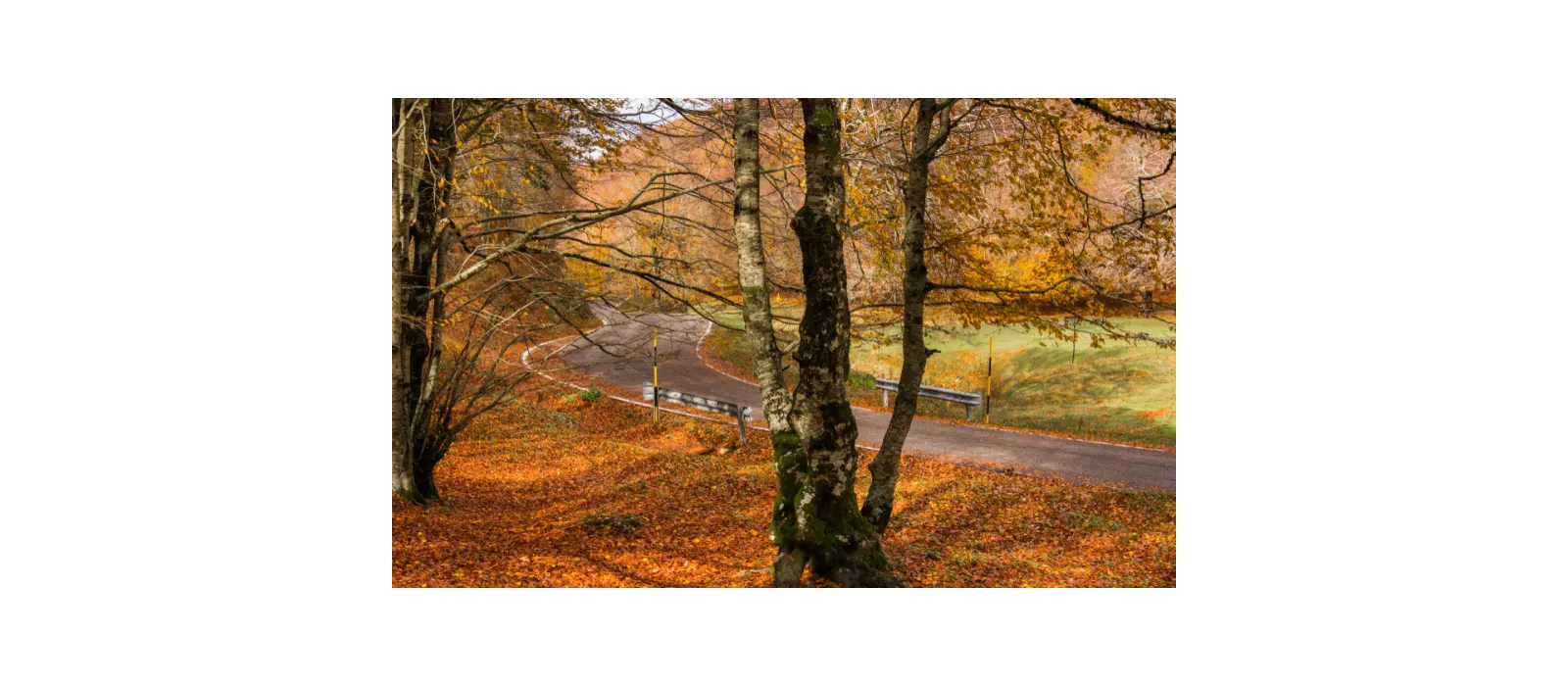 Entdecken Sie Latium mit dem Fahrrad, von Grisciano bis Filettino