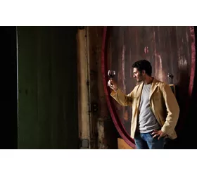 Toskana: Entdecken Sie 4 Design-Weinkeller