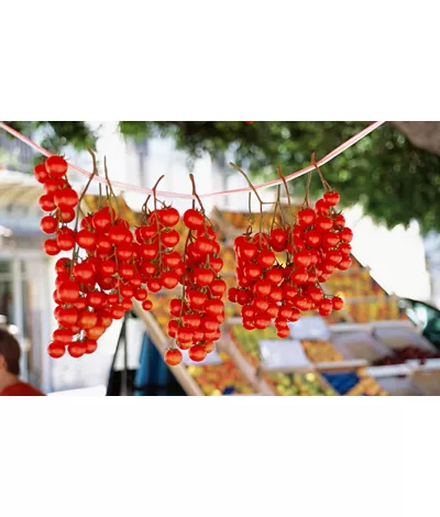 Sicilian cuisine: u strattu tomato paste