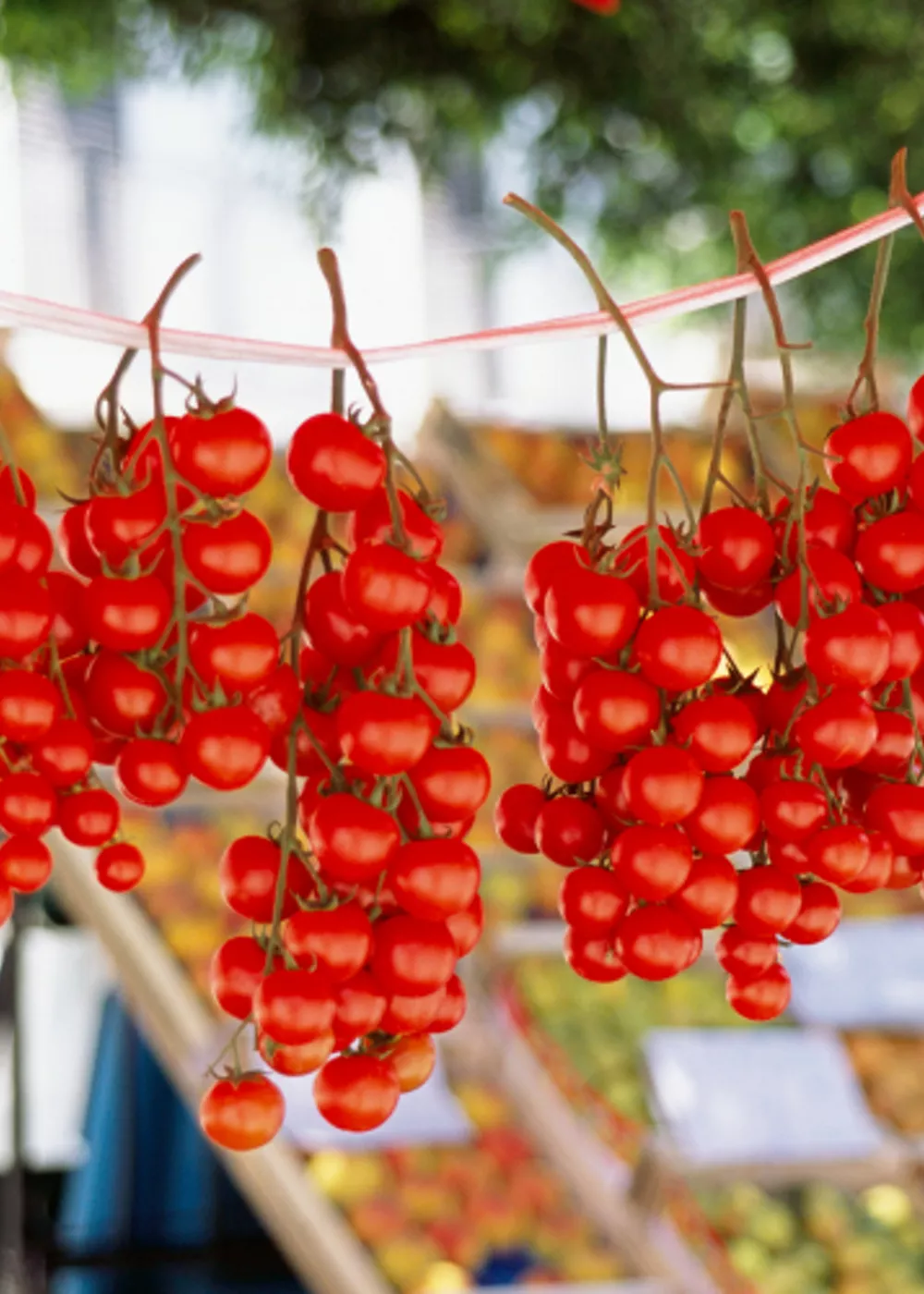Cuisine sicilienne : l'extrait de tomate u strattu