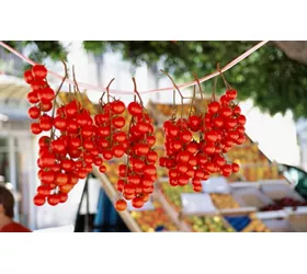 Cucina siciliana: l'estratto di pomodoro u strattu