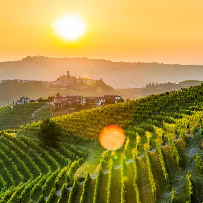 Le cantine e la sostenibilità