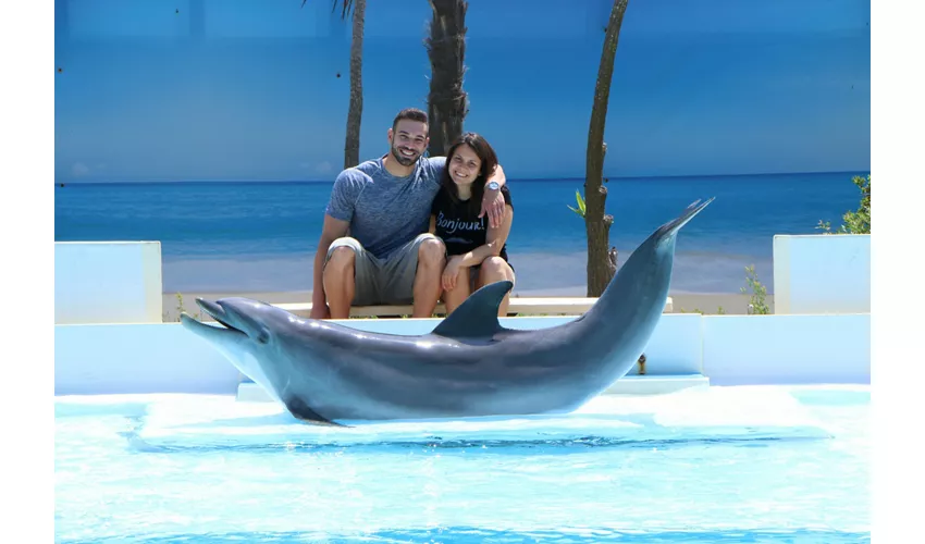 Zoo Marine: Discovery Zoo
