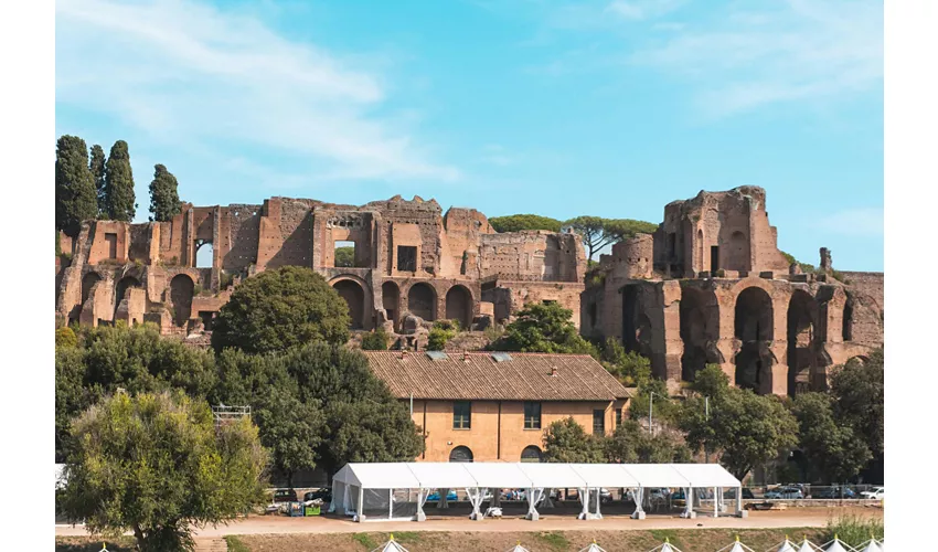 Tour guidato del Colosseo, Foro Romano e Palatino