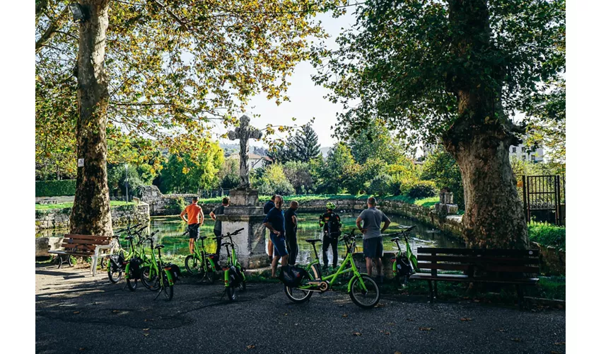 Amarone Wine e-Bike Tour in Valpolicella