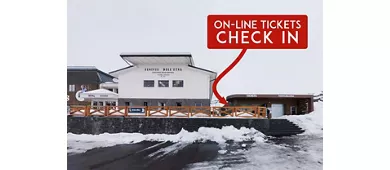 Monte Etna: Biglietto di andata e ritorno per la funivia