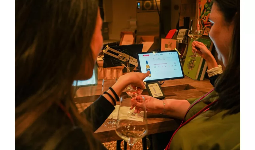 Bolonia: Cata guiada de vinos tintos italianos