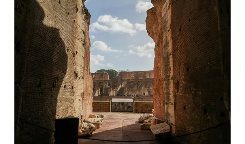 Colosseo, Foro Romano e Palatino + Tour guidato