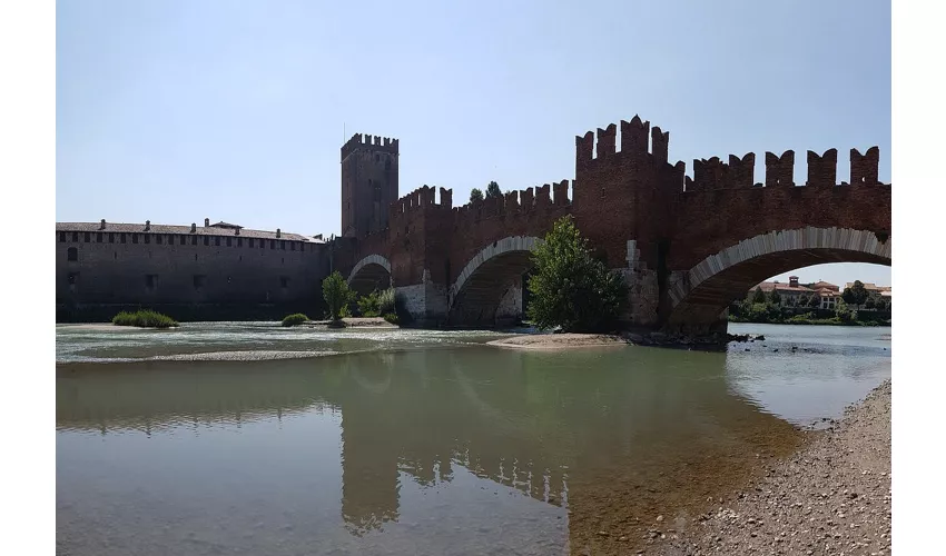 Venezia e Verona: Gita di un giorno da Milano