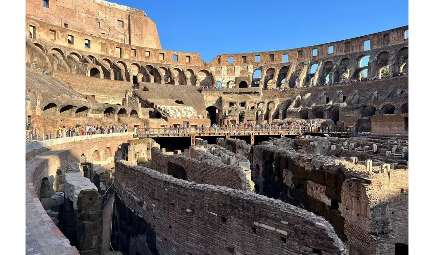 Colosseum, Roman Forum & Palatine Hill + Small Group Guided Tour