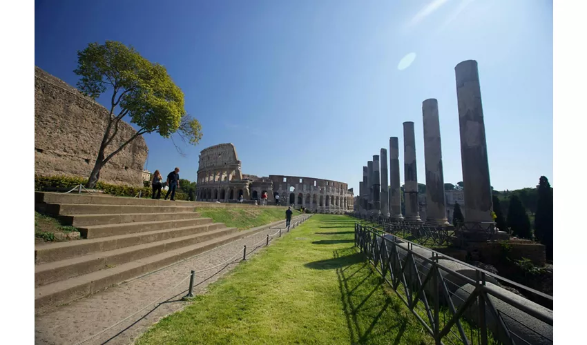 Colosseum, Arena, Roman Forum & Palatine Hill + Guided Tour