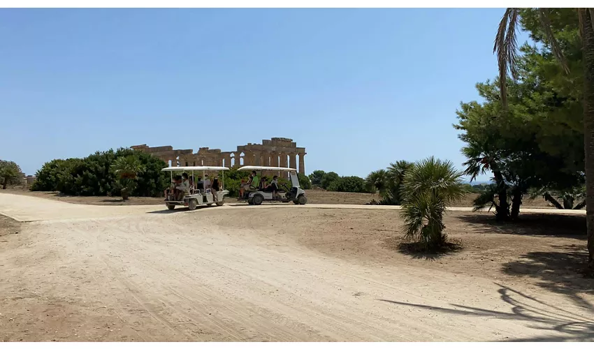 Entrance to Selinunte Archeological Park + Roundtrip Shuttle Service