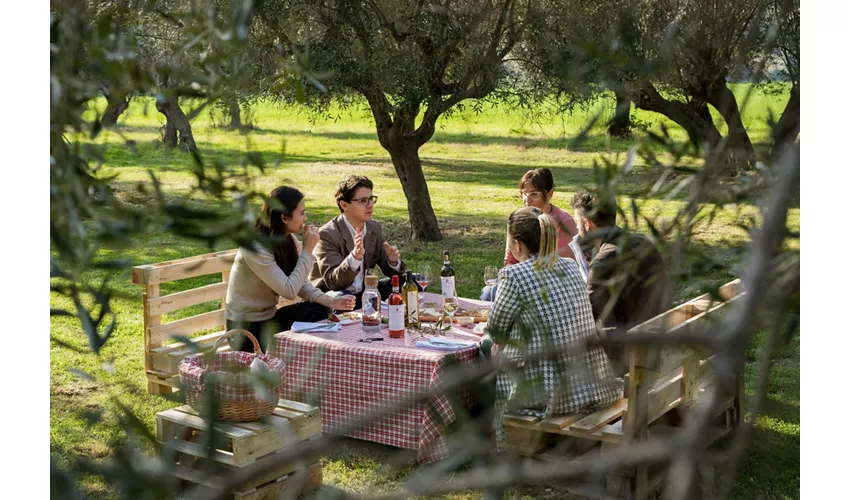 Weingut Mazzarosa: Ländliches Picknick im Olivenhain