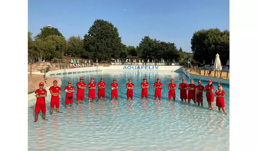 Aquafelix: Entry Ticket